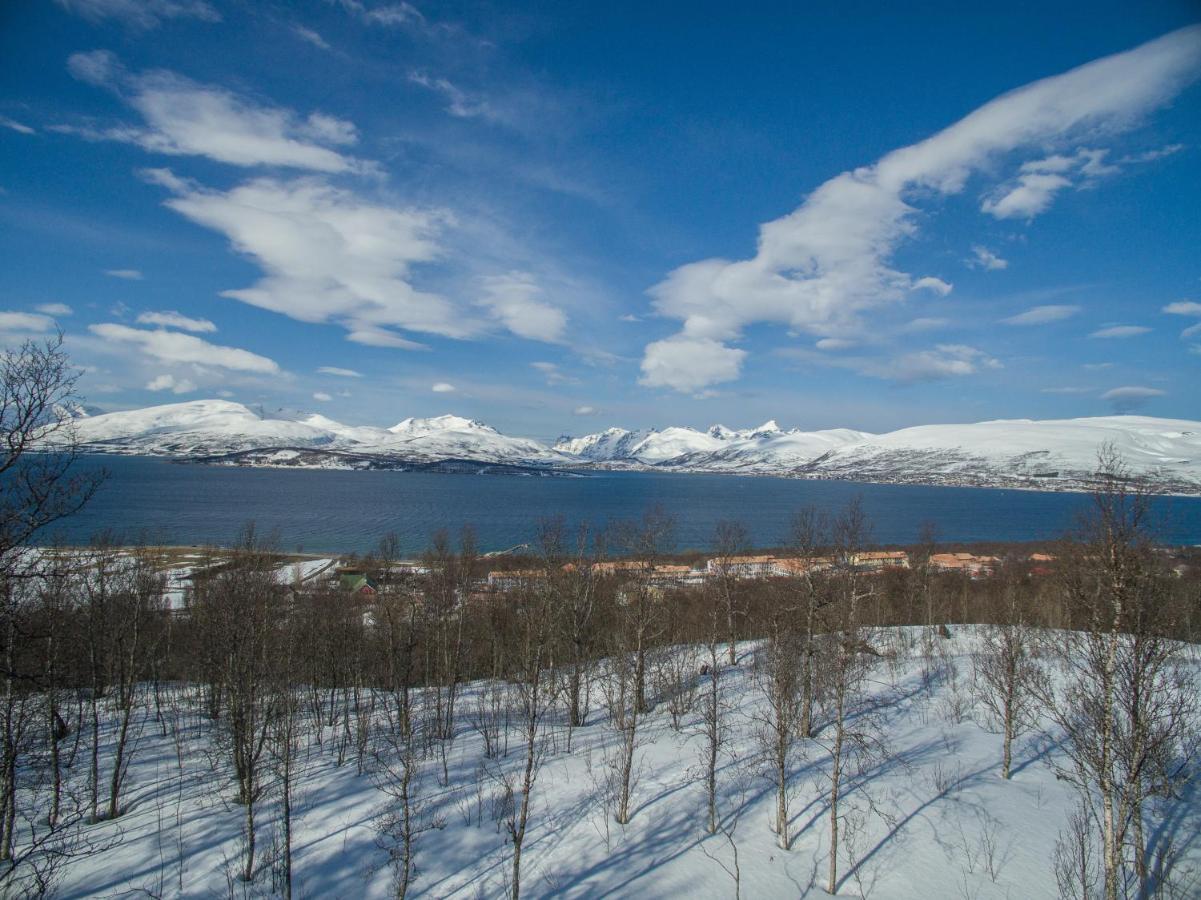 Enter Tromso - The Mountain Viewアパートメント エクステリア 写真